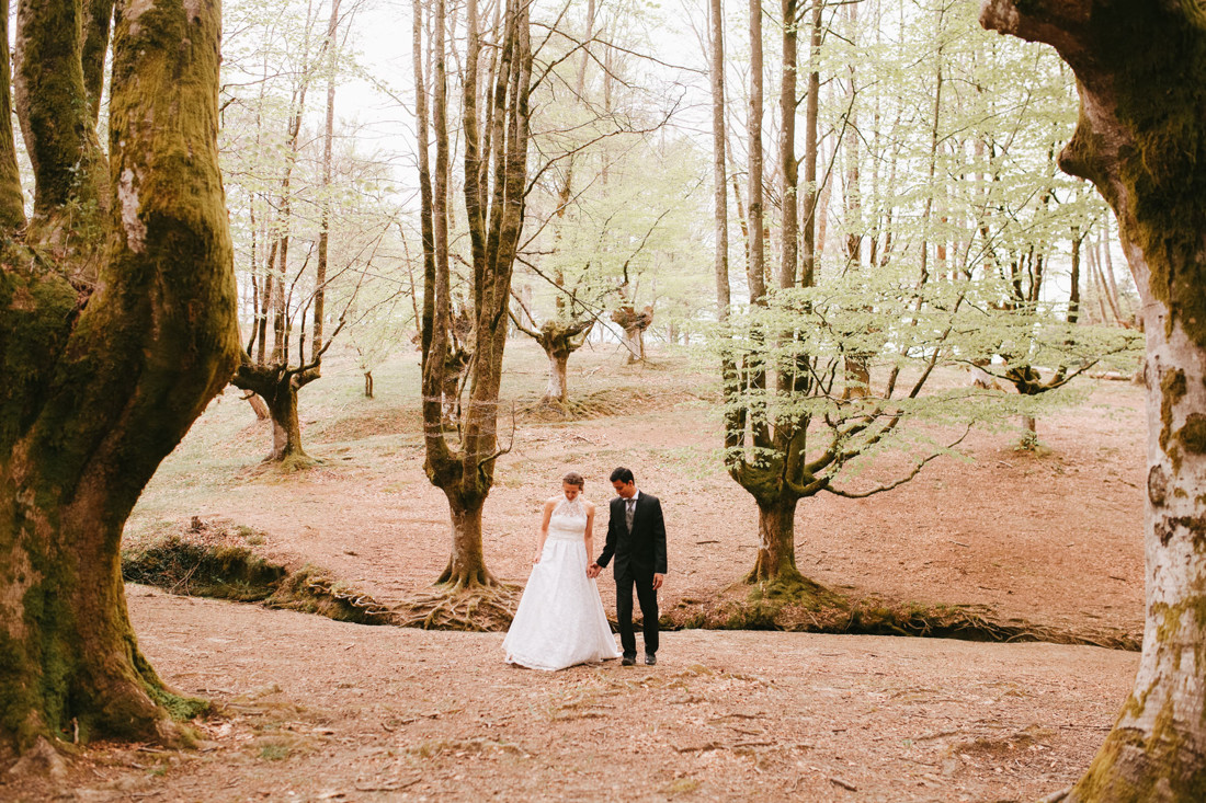 Postboda en hayedo de Otzarreta, Parque Natural de Gorbeia. Vizcaya y Alava