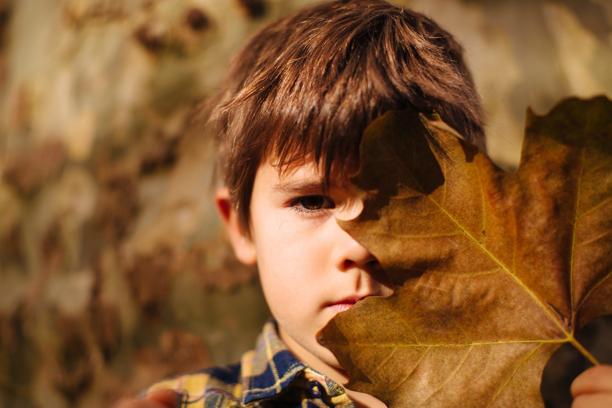 Navidad family 2020-23